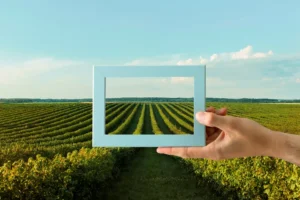 tipos comuns de cobertura para seguros agrículas.